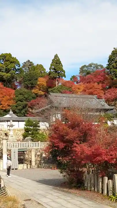 柳谷観音 楊谷寺(京都府)