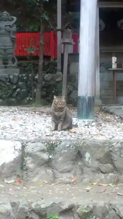 御髪神社の{uncategorized: "未分類", other: "その他", undefined: "問題あり", building: "その他建物", grave: "お墓", sacred_gate: "鳥居", guardian: "狛犬", statue: "像", buddha: "仏像", history: "歴史", nature: "自然", garden: "庭園", animal: "動物", pagoda: "塔", temizu: "手水舎", mountain_gate: "山門・神門", sanctuary: "本殿・本堂", subordinate: "末社・摂社", art: "芸術", scenery: "景色", jizo: "地蔵", ema: "絵馬", goshuin: "御朱印", omikuji: "おみくじ", items: "授与品その他", amulet: "お守り", goshuincho: "御朱印帳", eats: "食事", festival: "お祭り", votive_dance: "神楽", shichigosan: "七五三参", wedding: "結婚式", experience: "体験その他", initially: "初詣", around: "周辺", anti_infection: "感染症対策"}