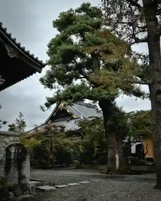 善徳寺(栃木県)