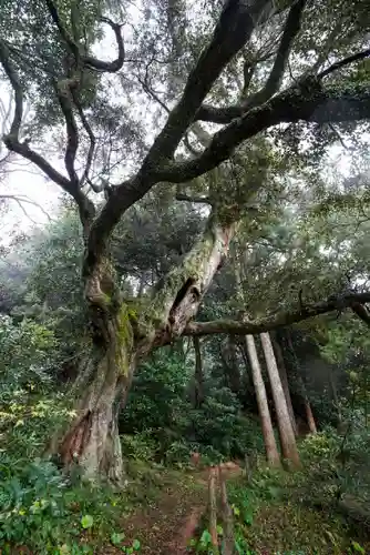 南原寺(山口県)