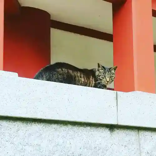 香取神社の動物