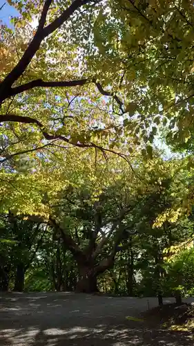 相馬神社(北海道)