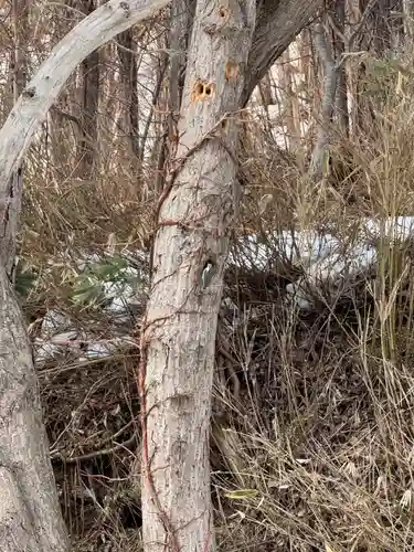 琴平神社(北海道)