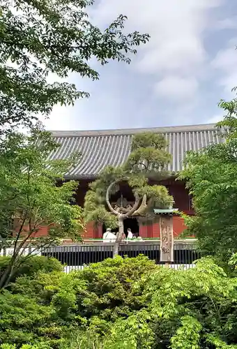 清水観音堂(東京都)