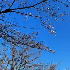 尾曳稲荷神社の自然