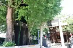 飛木稲荷神社(東京都)