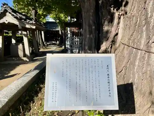 飛木稲荷神社(東京都)