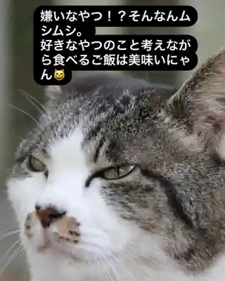 専念寺(大阪府)