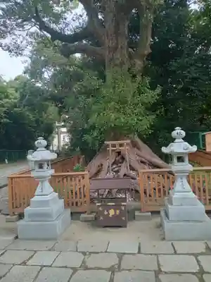 和泉國一之宮　大鳥大社(大阪府)