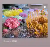 滑川神社 - 仕事と子どもの守り神の手水舎