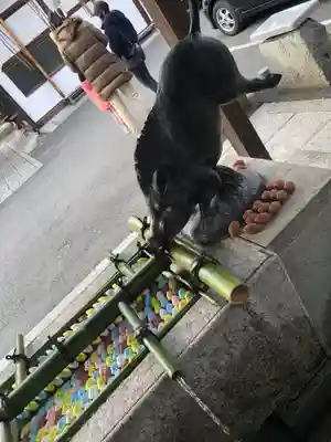 護王神社の手水舎