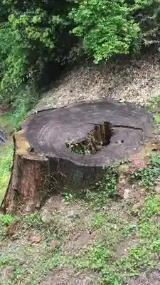妙義神社の周辺
