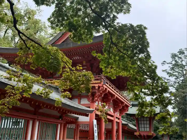 武蔵一宮氷川神社(埼玉県)