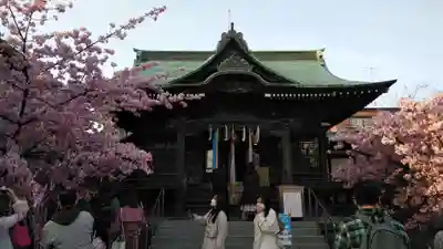 桜神宮の本殿・本堂