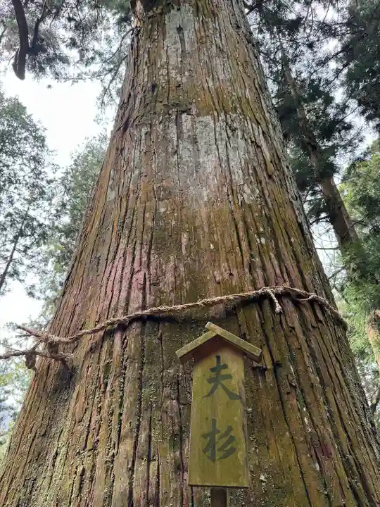 恵那神社(岐阜県)