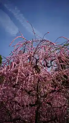 城南宮(京都府)