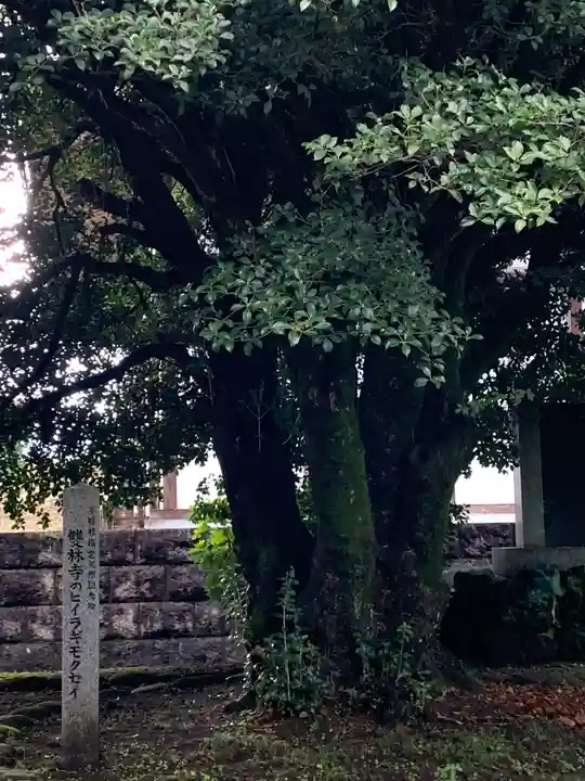 雙林寺(群馬県)