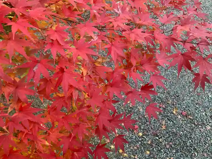 観心寺(大阪府)
