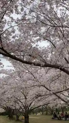 貴船神社(岡山県)
