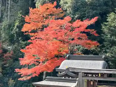 高麗神社(埼玉県)