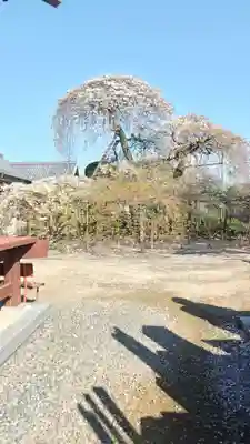 無量壽院(千葉県)