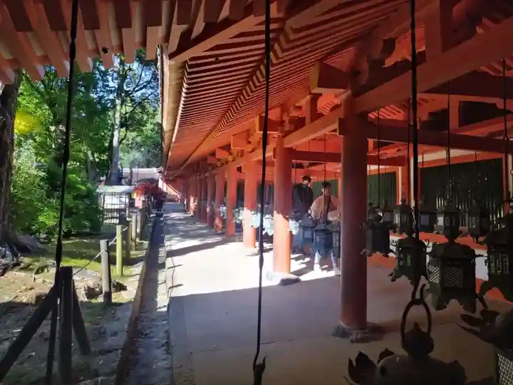 春日大社(奈良県)