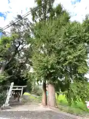 多爲神社(三重県)