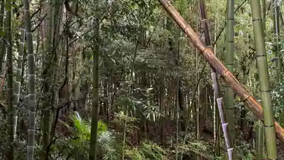 相馬中村神社(福島県)