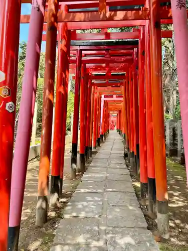 乙女稲荷神社の鳥居