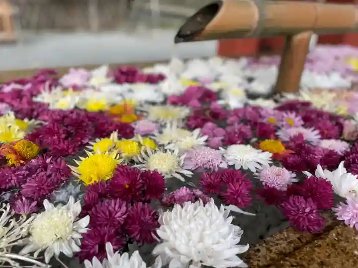 鶴岡八幡宮の手水舎