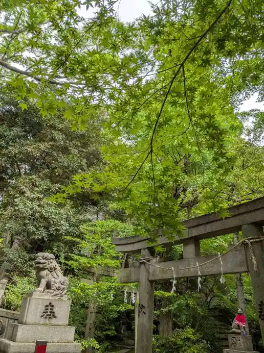赤坂氷川神社(東京都)