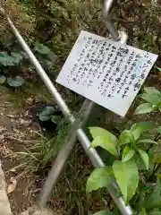 高津柿本神社の建物その他