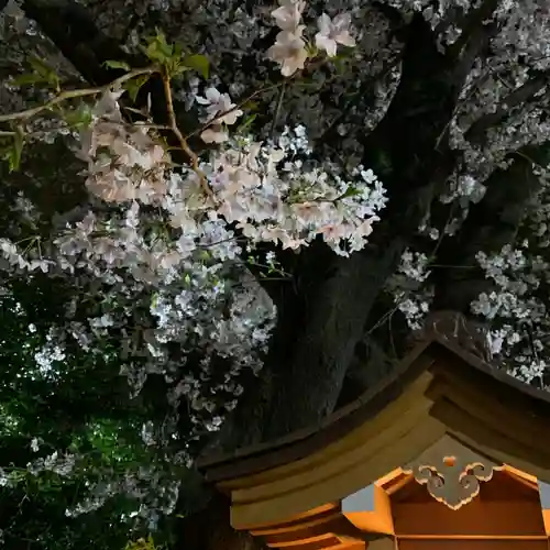 花園神社の自然