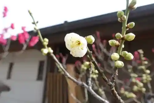 菅原天満宮（菅原神社）の自然