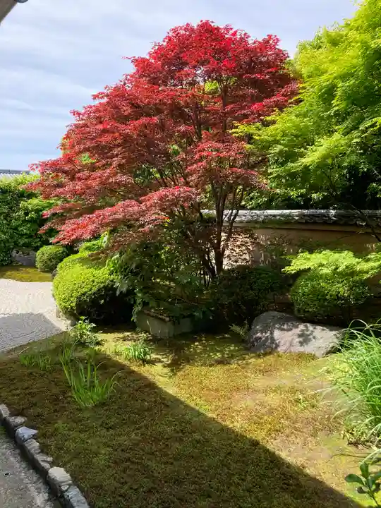 興臨院(京都府)