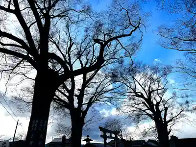 白鳥神社(長野県)