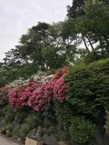 観音山慈眼院（高崎観音）の庭園