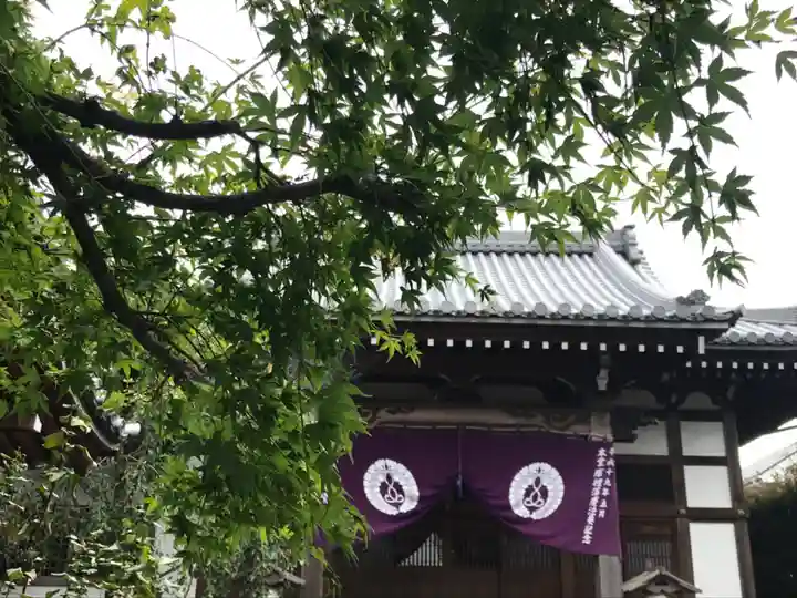 覚證寺の山門・神門