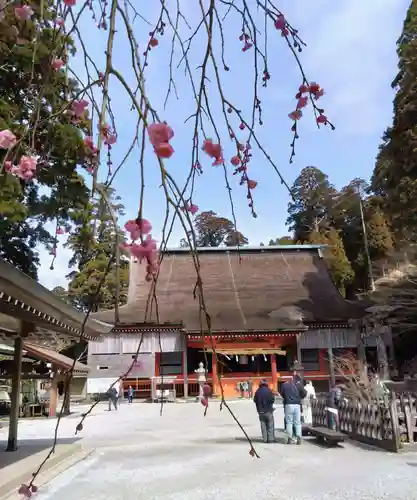 英彦山神宮(福岡県)