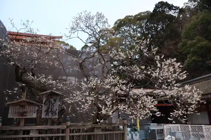 太宰府天満宮(福岡県)