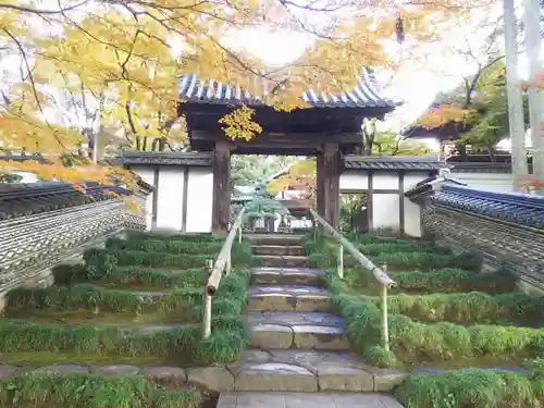 清泰寺の山門