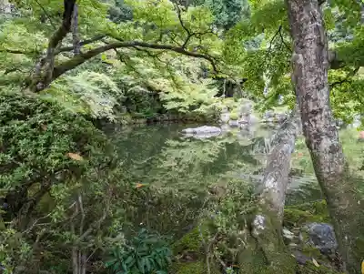 醍醐寺(京都府)