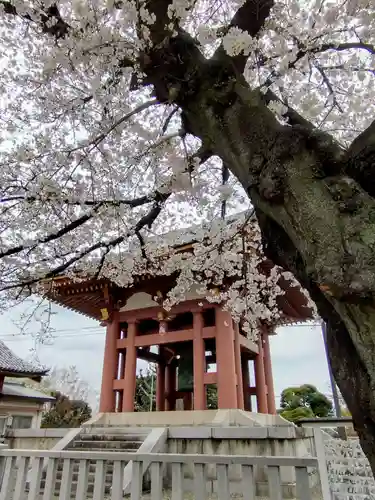 池上本門寺(東京都)