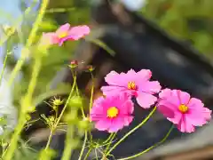 今市報徳二宮神社(栃木県)