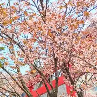 彌彦神社 (伊夜日子神社)の自然