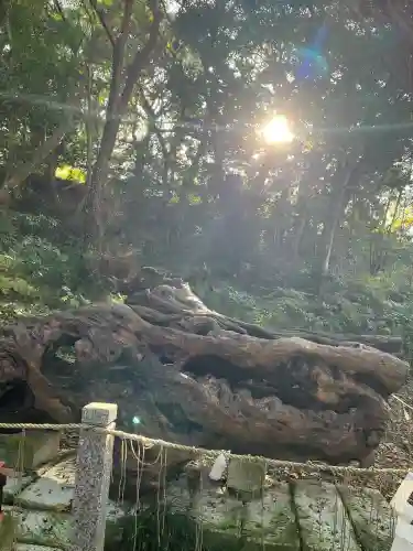 泉神社(茨城県)