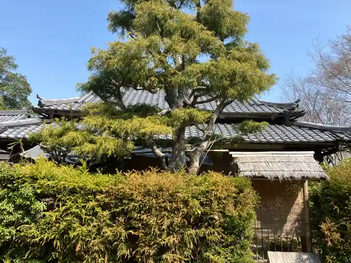 浄瑠璃寺(京都府)