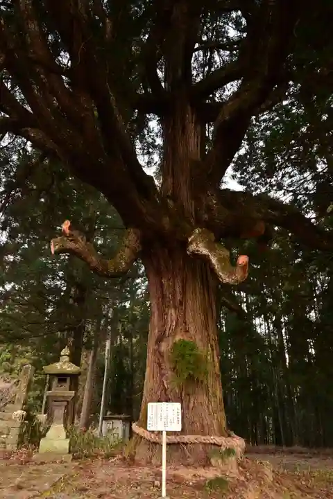 中畑神社(宮崎県)