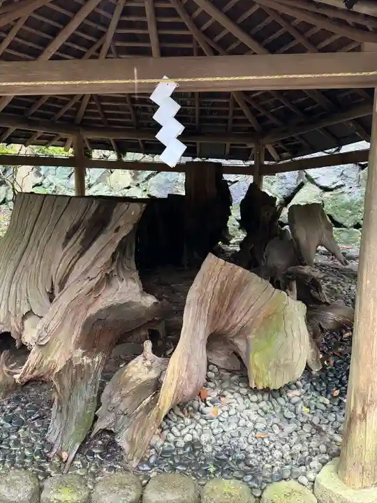 大神神社(奈良県)