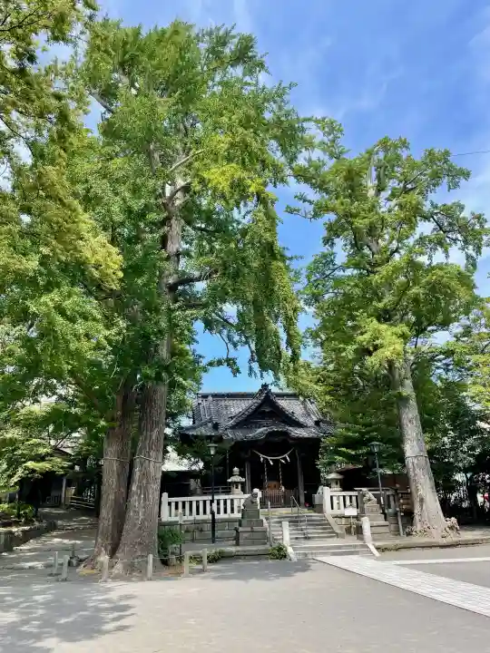 亀岡八幡宮(亀岡八幡神社)(神奈川県)